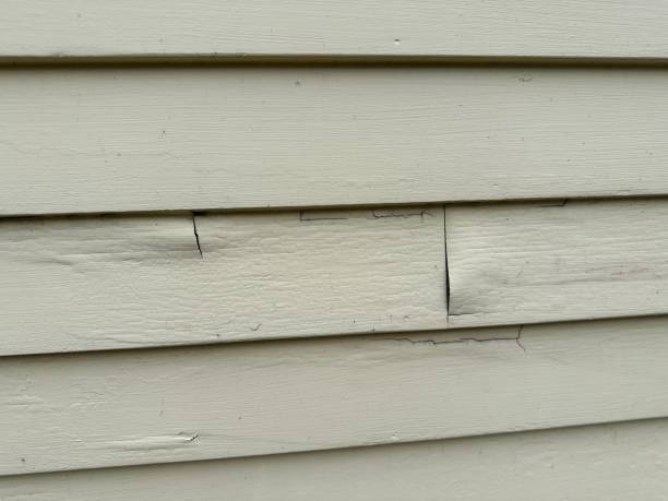 Best Foreclosure Cleanout  in Prospect, KY