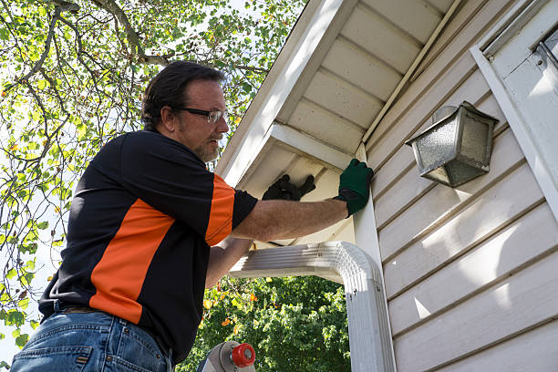 Best Shed Removal  in Prospect, KY